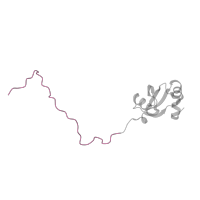 The deposited structure of PDB entry 8agv contains 1 copy of Pfam domain PF03939 (Ribosomal protein L23, N-terminal domain) in Large ribosomal subunit protein uL23. Showing 1 copy in chain K.