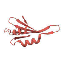 The deposited structure of PDB entry 8agv contains 1 copy of Pfam domain PF01781 (Ribosomal L38e protein family) in Large ribosomal subunit protein eL38. Showing 1 copy in chain X.