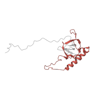 The deposited structure of PDB entry 8agv contains 1 copy of Pfam domain PF01159 (Ribosomal protein L6e ) in Large ribosomal subunit protein eL6B. Showing 1 copy in chain KA [auth n].