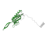 The deposited structure of PDB entry 8agv contains 1 copy of Pfam domain PF00237 (Ribosomal protein L22p/L17e) in Large ribosomal subunit protein uL22A. Showing 1 copy in chain C.