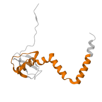 The deposited structure of PDB entry 8agv contains 1 copy of Pfam domain PF01929 (Ribosomal protein L14) in Large ribosomal subunit protein eL14A. Showing 1 copy in chain RA [auth u].