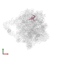 Large ribosomal subunit protein uL24A in PDB entry 8agv, assembly 1, front view.