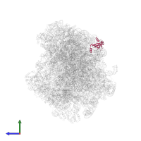 Large ribosomal subunit protein uL24A in PDB entry 8agv, assembly 1, side view.