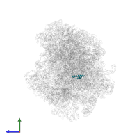 60S ribosomal protein L29 in PDB entry 8agv, assembly 1, side view.