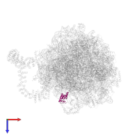 Large ribosomal subunit protein eL30 in PDB entry 8agv, assembly 1, top view.
