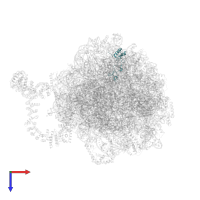 Large ribosomal subunit protein eL32 in PDB entry 8agv, assembly 1, top view.