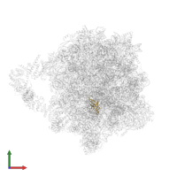 Large ribosomal subunit protein eL33A in PDB entry 8agv, assembly 1, front view.