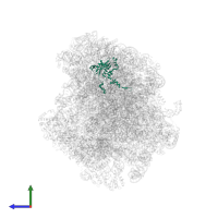 Large ribosomal subunit protein eL15A in PDB entry 8agv, assembly 1, side view.