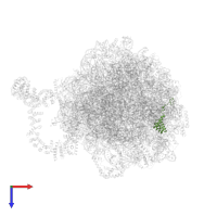 Large ribosomal subunit protein eL36A in PDB entry 8agv, assembly 1, top view.