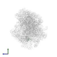 Ubiquitin-ribosomal protein eL40A fusion protein in PDB entry 8agv, assembly 1, side view.