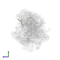 Large ribosomal subunit protein eL43A in PDB entry 8agv, assembly 1, side view.
