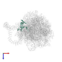 Large ribosomal subunit protein uL3 in PDB entry 8agv, assembly 1, top view.