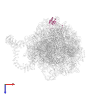 Large ribosomal subunit protein eL6B in PDB entry 8agv, assembly 1, top view.