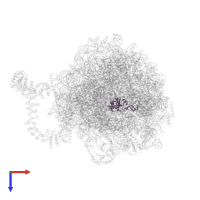 RPL10 isoform 1 in PDB entry 8agv, assembly 1, top view.