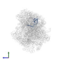 Large ribosomal subunit protein eL13A in PDB entry 8agv, assembly 1, side view.