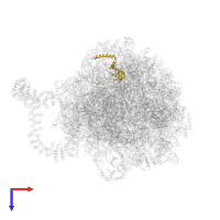 Large ribosomal subunit protein eL14A in PDB entry 8agv, assembly 1, top view.
