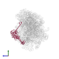 Ribosome quality control complex subunit 2 in PDB entry 8agv, assembly 1, side view.