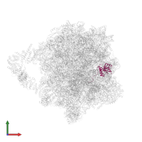 Large ribosomal subunit protein eL18A in PDB entry 8agv, assembly 1, front view.