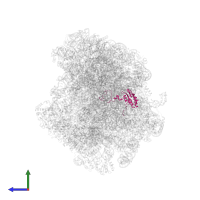 Large ribosomal subunit protein eL18A in PDB entry 8agv, assembly 1, side view.