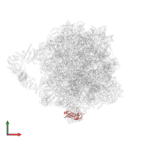 RPL12A isoform 1 in PDB entry 8agv, assembly 1, front view.