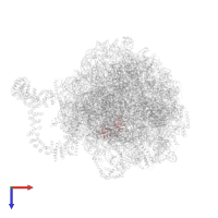 RPL12A isoform 1 in PDB entry 8agv, assembly 1, top view.