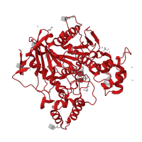 The deposited structure of PDB entry 8am1 contains 1 copy of Pfam domain PF00135 (Carboxylesterase family) in Cholinesterase. Showing 1 copy in chain A.