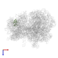 30S ribosomal protein S8 in PDB entry 8am9, assembly 1, top view.