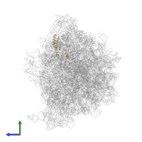 30S ribosomal protein S14 in PDB entry 8am9, assembly 1, side view.