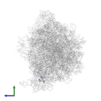 30S ribosomal protein S16 in PDB entry 8am9, assembly 1, side view.