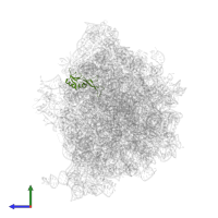 50S ribosomal protein L16 in PDB entry 8am9, assembly 1, side view.