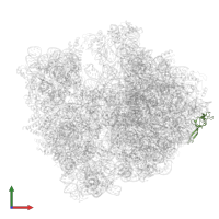 50S ribosomal protein L24 in PDB entry 8am9, assembly 1, front view.