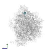 50S ribosomal protein L27 in PDB entry 8am9, assembly 1, side view.