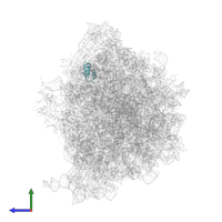 50S ribosomal protein L30 in PDB entry 8am9, assembly 1, side view.