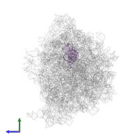 Initiator tRNA in PDB entry 8am9, assembly 1, side view.