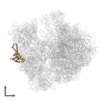 30S ribosomal protein S2 in PDB entry 8am9, assembly 1, front view.