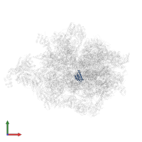 Large ribosomal subunit protein mL53 in PDB entry 8any, assembly 1, front view.