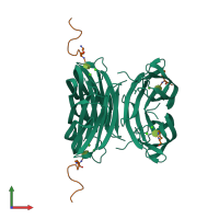 Hetero octameric assembly 1 of PDB entry 8aoo coloured by chemically distinct molecules, front view.