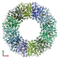 PDB entry 8aow coloured by chain, front view.
