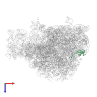 Large ribosomal subunit protein uL23 in PDB entry 8ap4, assembly 1, top view.