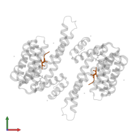 Estrogen receptor in PDB entry 8aro, assembly 1, front view.