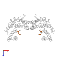 Estrogen receptor in PDB entry 8aro, assembly 1, top view.