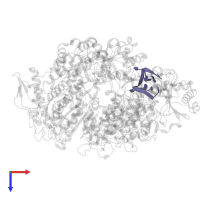 RNA (5'-R(*AP*CP*AP*CP*AP*GP*AP*GP*AP*CP*GP*CP*CP*CP*AP*GP*AP*UP*GP*A*)-3') in PDB entry 8asg, assembly 1, top view.