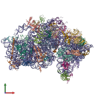 PDB entry 8auv coloured by chain, front view.