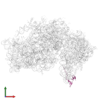 Ubiquitin-like domain-containing protein in PDB entry 8auv, assembly 1, front view.