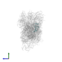 40S ribosomal protein S8 in PDB entry 8auv, assembly 1, side view.