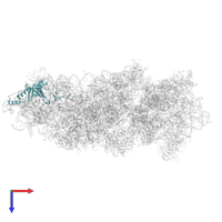 40S ribosomal protein S8 in PDB entry 8auv, assembly 1, top view.