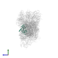 40S ribosomal protein S4 in PDB entry 8auv, assembly 1, side view.