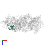 40S ribosomal protein S4 in PDB entry 8auv, assembly 1, top view.