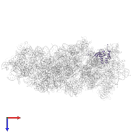 40S ribosomal protein S15-like in PDB entry 8auv, assembly 1, top view.