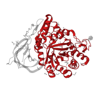 The deposited structure of PDB entry 8ax3 contains 2 copies of Pfam domain PF02055 (Glycosyl hydrolase family 30 TIM-barrel domain) in Lysosomal acid glucosylceramidase. Showing 1 copy in chain A.